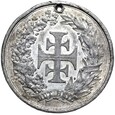 Medal - Niemcy 5. TURNFEST FRANKFURT Main 25-29. JULI 1880 - FESTHALLE