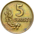 Polska PRL - moneta - 5 Groszy 1949 - BRĄZ