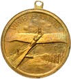 Austria ok 1910 Medal VIRIBUS UNITIS Für die Österr. Luft Flotte UNC