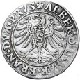 Prusy Książęce - Albrecht - Grosz 1531 - Srebro - STAN !