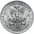 Polska - PRL - 5 Złotych 1960 - RYBAK - Stan MENNICZY UNC