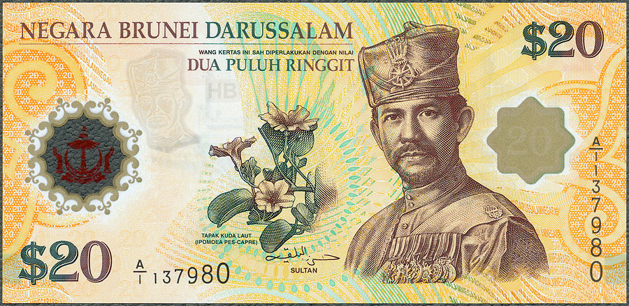 Brunei - 20 ringgit 2007 * P34 * 40 Lat Unii Walutowej * polimer